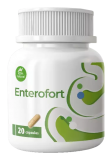 Cápsulas Enterofort críticas, comprar en Chile, precio en farmacias, opiniones medicas reales