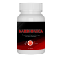 Kardionica